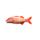 Whitesaddle Goatfish