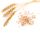 Sorghum Flour
