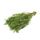 Seepweed