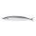 Frozen Pacific Saury