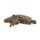 Gulf Toadfish