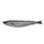Frozen Blue Whiting