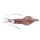 Swordtip Squid