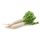 Daikon