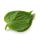 Sesame Leaves