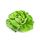 Fresh Head Lettuce