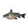 Granulated Catfish