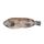Prowfish