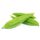 Ridge Gourd