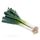 Chinese Onion