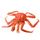 Southern King Crab