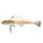 Longfin Icedevil