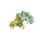 Wormwood