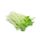Snow Pea Sprout