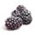 Frozen Boysenberry