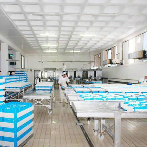 LAKONIKI DAIRY IND. - KYRIAZAKOS SA - Production Area