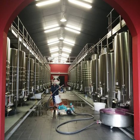 Château Sénéjac_Wine_Process
