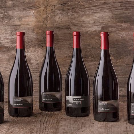 Waist-Mast Wine 2015 Pinot Noir