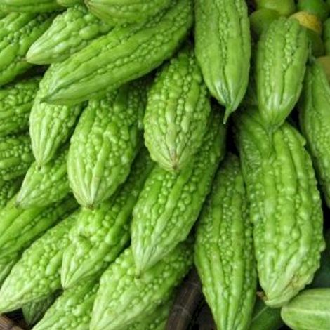 Bitter Gourd