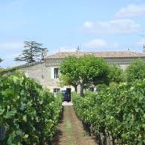 Chateau La Diligente_Wines_Vineyard
