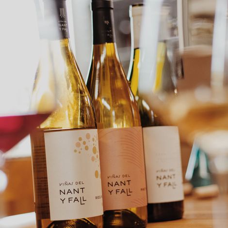 Viñas del Nant y Fall - Wines
