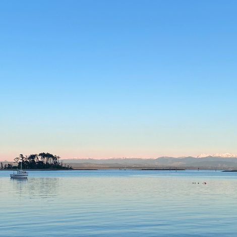 Guyton Fisheries Limited - Vessel