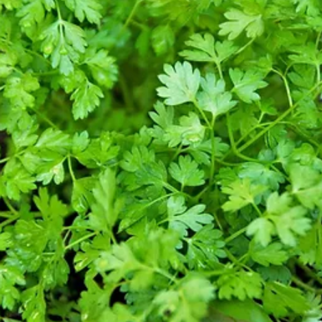 Screenshot 2023-04-28 163255.png