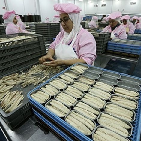 AVEIRO-MAROC - Facility