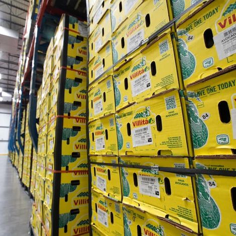 Agroexport Avocados (Villita) - Packaged Products