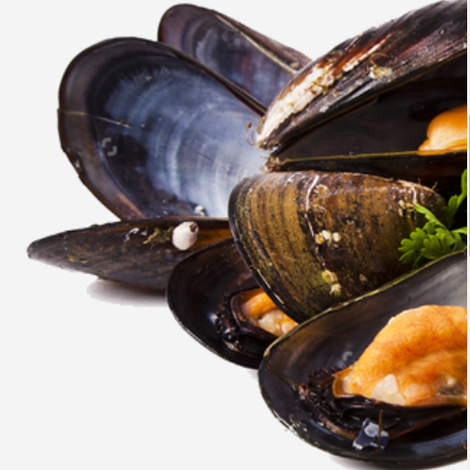 ALEXANDRIDIS, G., & CO. OE FRUTTI DI MARE