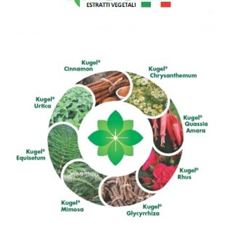 Kugel Basic Substances & Plant Extracts