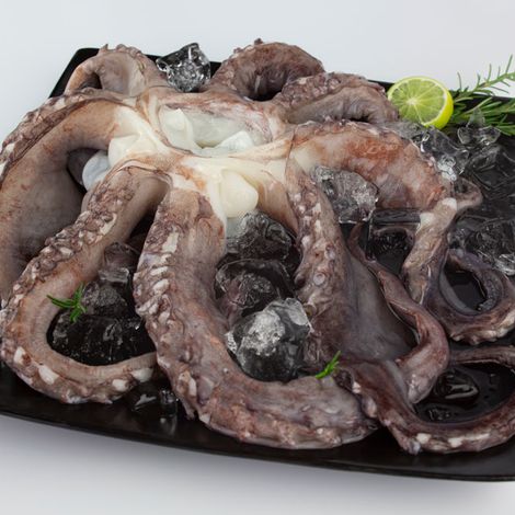 tentaculo-de-pota-3.jpg