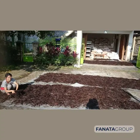 Fanata Group