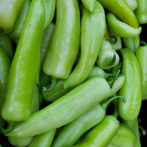 Reeves Farms, LLC