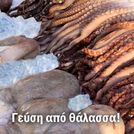 banner_2.jpg
