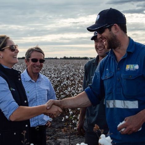 australia-cotton-employer.jpg