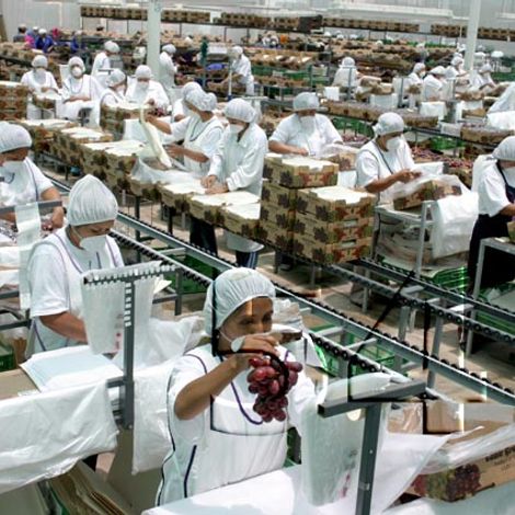 Fundo Sacramento S.A.C.