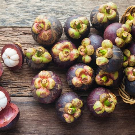 PT. Radja Manggis Sejati - Mangosteen