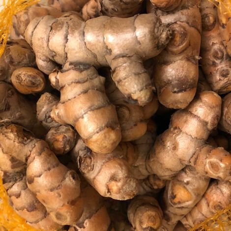 HAC Agri_turmeric_sample
