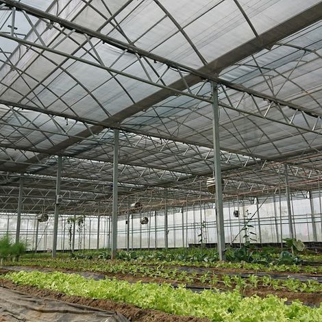 Tama Shokunin Greenhouse