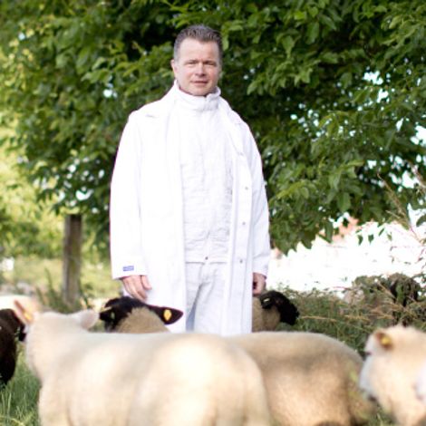 Baumann GmbH & Co. KG