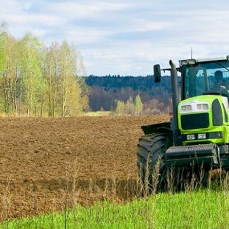 Okrouhlicka Agricultural Cooperative - Plantation