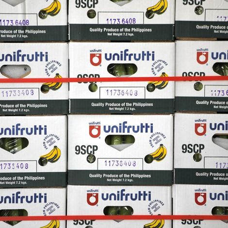 Unifrutti-Group-Group-Unifrutti-Platform-1-600x600.jpg