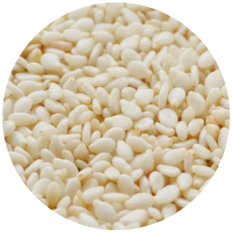 HYPERGRAIN SA
