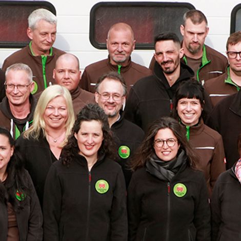 Team