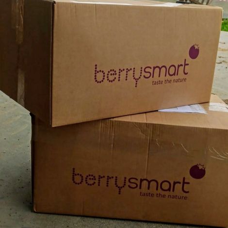 Berrysmart, Lda - Packaging