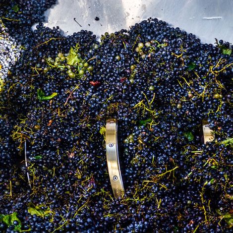 Tittarelli Wines - Product