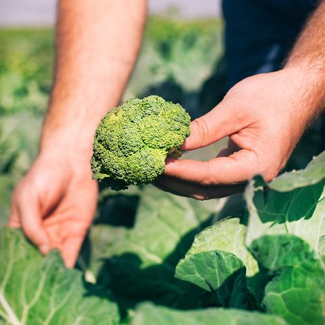 Pure Pacific Organics