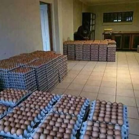 Acorn Poultry