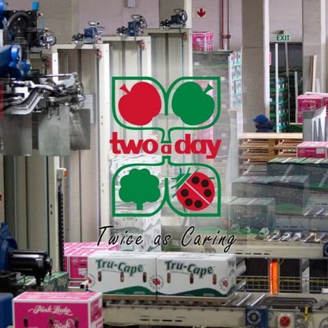 Two-a-Day Group (Pty) Ltd - Packaging Area